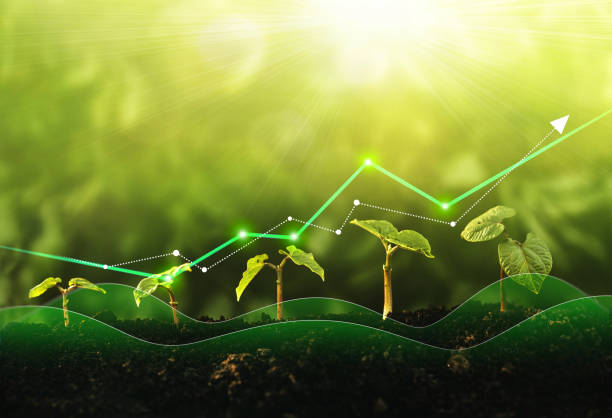 Community energy & agriculture pilot